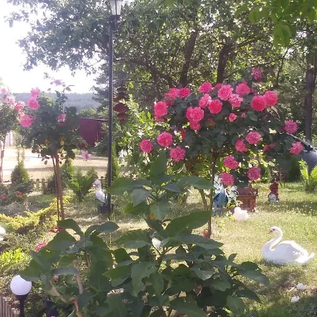 Agroturystyka Zielona Polana Funkelkau Exterior foto